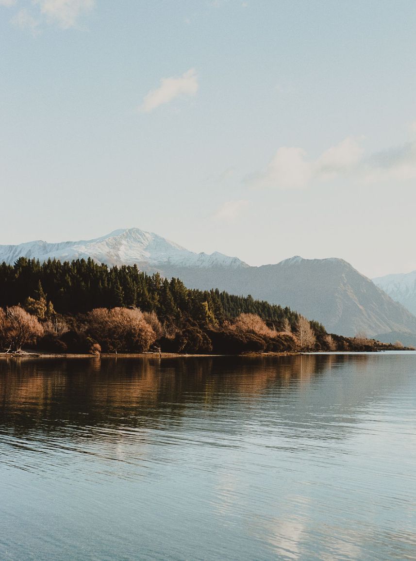 wanaka LTW